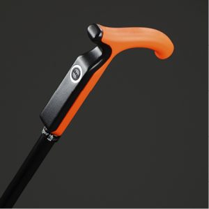 pavasaris-2017-smartcane