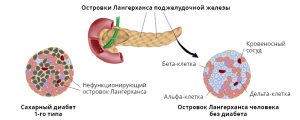 Pulss_RU